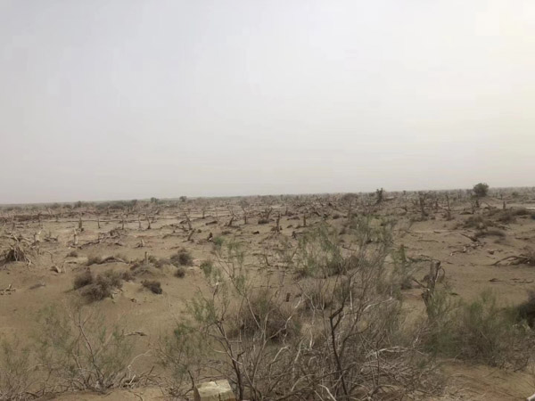 刑事案件流程有哪些?上海刑案階段律師為您介紹