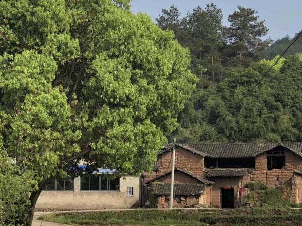 刑事訴訟中的識別是什么？上海崇明刑事律師告訴你