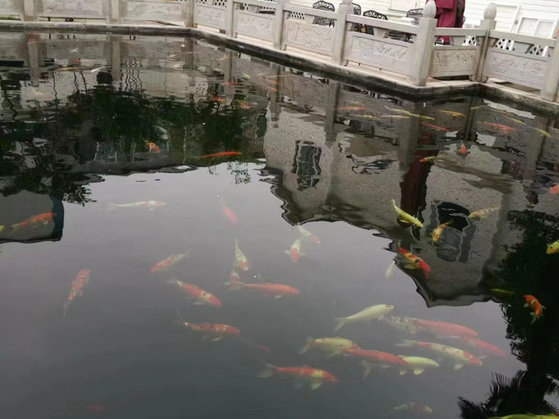 上海刑事案件律師來(lái)講講房地產(chǎn)貸款詐騙罪是否影響借款合同的效力