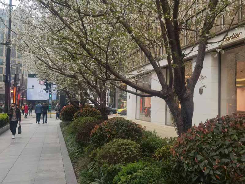 青浦刑事律師解析：虐待部屬罪的構(gòu)成形式要件與實務(wù)認定