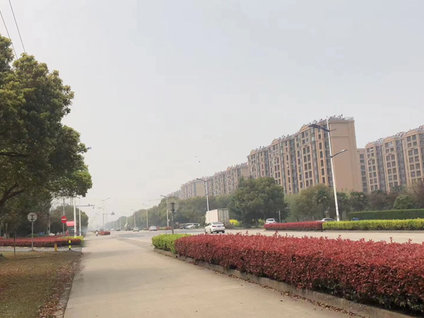 貪污案適用減輕處罰情節(jié)能否減至免予刑事處罰？上海刑事專業(yè)律師來回答