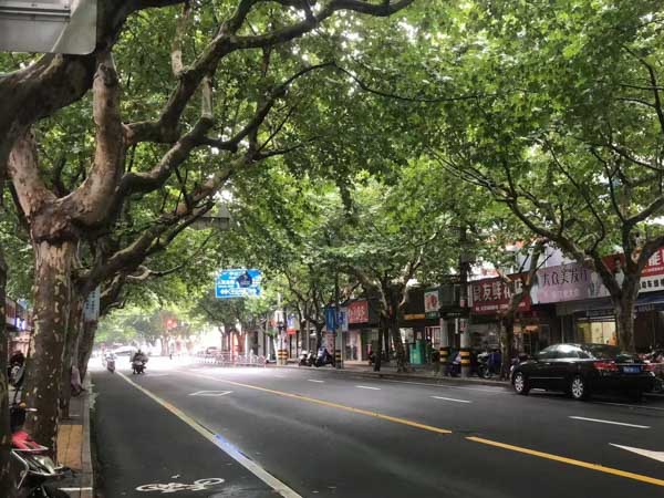 有問有答:上海請刑事辯護(hù)律師帶您了解中止犯罪中的損害該怎樣認(rèn)定