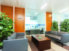 上海經(jīng)濟(jì)犯罪律師-常見的經(jīng)濟(jì)犯罪有哪些