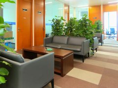 聘請(qǐng)上海刑事律師可以為其申請(qǐng)取保候?qū)?></a></div>

                            <div   id="mqqukou"   class="media-body">

                              <a href="http://m.wqgiqq.cn/xszx/982.html" title="聘請(qǐng)上海刑事律師可以為其申請(qǐng)取保候?qū)?>聘請(qǐng)上海刑事律師可以為其申請(qǐng)取保候?qū)?/a>

                              <p class="list_desc">根據(jù)我國(guó)《刑事訴訟法》、《律師法》等對(duì)你的問(wèn)題答復(fù)如下： 犯罪嫌疑人在被偵查機(jī)關(guān)第一次訊問(wèn)后或者采取強(qiáng)制措施之日起，可以聘請(qǐng)律師為其提供法律咨詢、代理申訴、控告。犯罪嫌疑人被逮捕的，聘請(qǐng)的律師可以為其申請(qǐng)取保候?qū)?。涉及?guó)家秘密的案件，犯罪嫌疑人聘請(qǐng)律師，應(yīng)當(dāng)經(jīng)偵查機(jī)關(guān)批... </p>

                            </div>

                          </div>

                        </li><li>

                          <div   id="2mc2q2g"   class="media media-x">

                            <div   id="kuc22mk"   class="media_img float-right"><a  href="http://m.wqgiqq.cn/xsal/974.html" ><img  src=