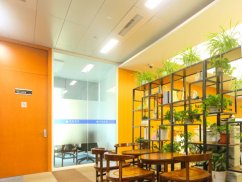 <b>虹口區(qū)刑事律師:股東虛假出資的處理之道</b>