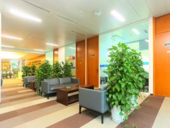 <b>上海刑事辯護律師解讀:開設賭場犯罪的多維度剖析</b>