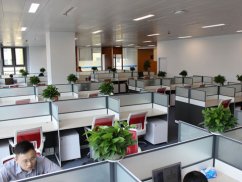 <b>靜安刑事律師解讀:私人放高利貸的法律罪責</b>